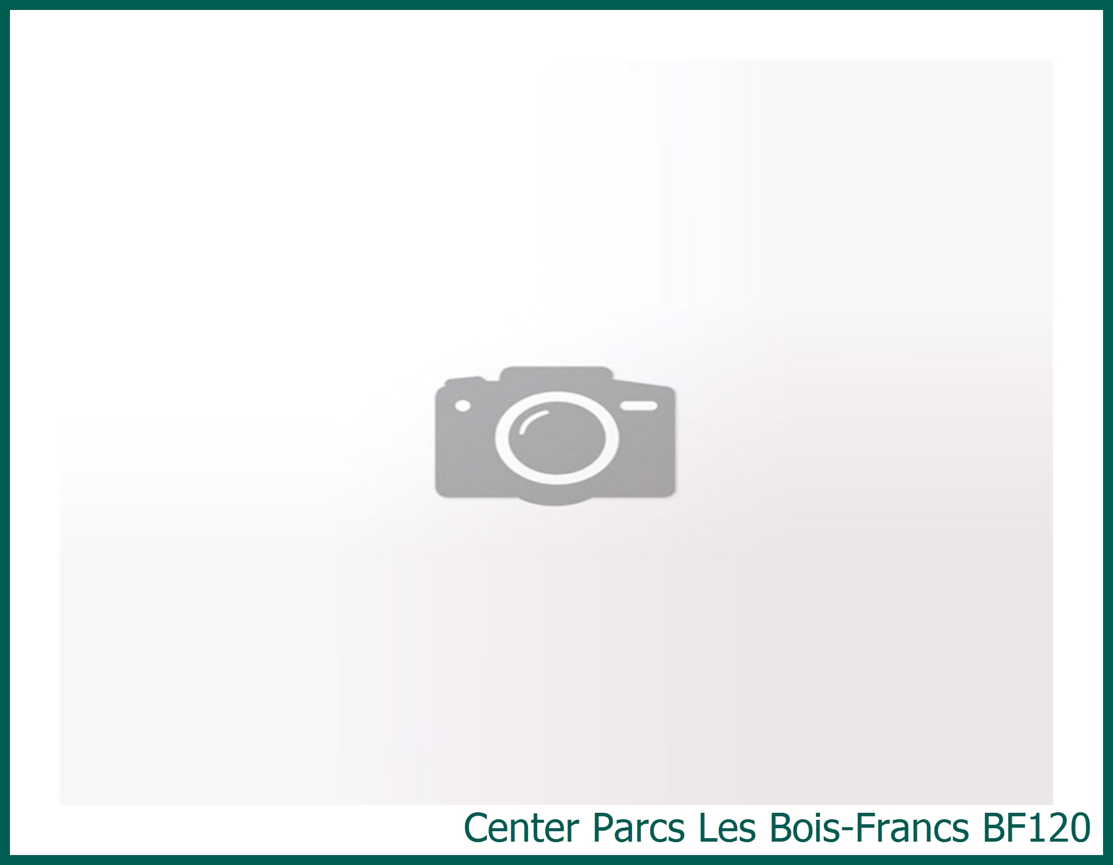 Pagode-Premium-Ferienhaus BF120 in Les Bois-Francs