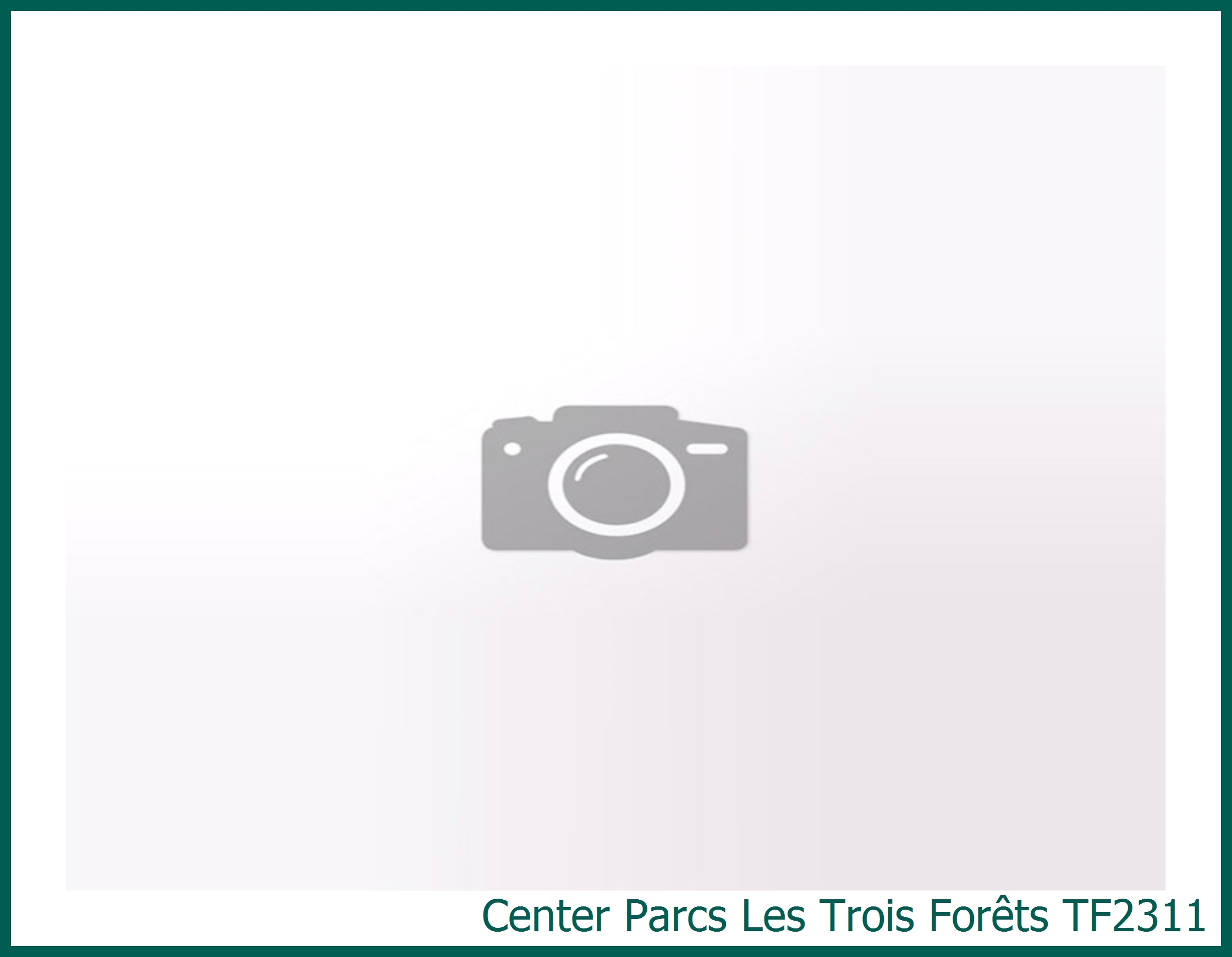 Comfort-Ferienhaus erneuert TF2311 in Les Trois Forêts