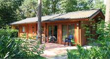 Chalet Boekhorst-6 in EuroParcs Brunssummerheide