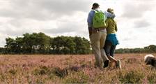 Wandern und Radfahren Aktivitäten in Landal De Hellendoornse Berg