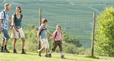 Wandern und Radfahren Aktivitäten in Landal Sonnenberg