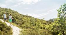 Wandern und Radfahren Einrichtungen in Landal Schuttersbos